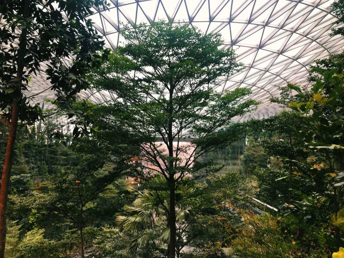 Yotelair Singapore Changi Airport Landside Екстер'єр фото